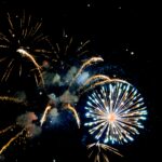 pexels-mi1kel-1259614