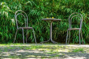 7103983-seating-arrangement-3577963_1280